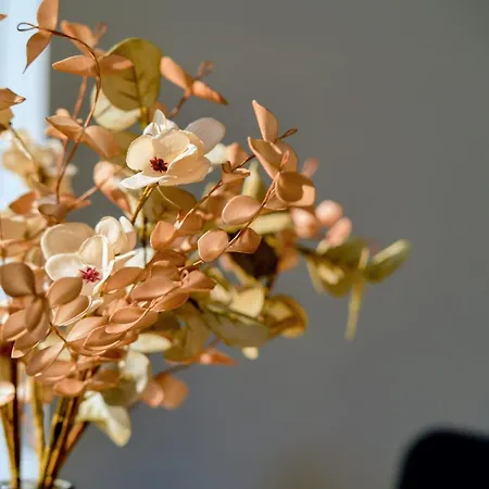 Alma Flotante Båthotell *