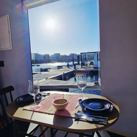 Alma Flotante מוחיה