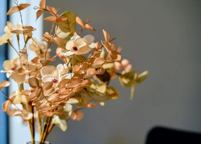 Alma Flotante Πλωτό κατάλυμα *